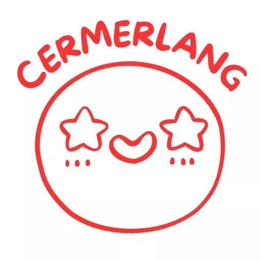 Teacher feedback comment stamp / Cop Guru for Teacher, Students, Parents, kindergarden, art center homework reward ink s