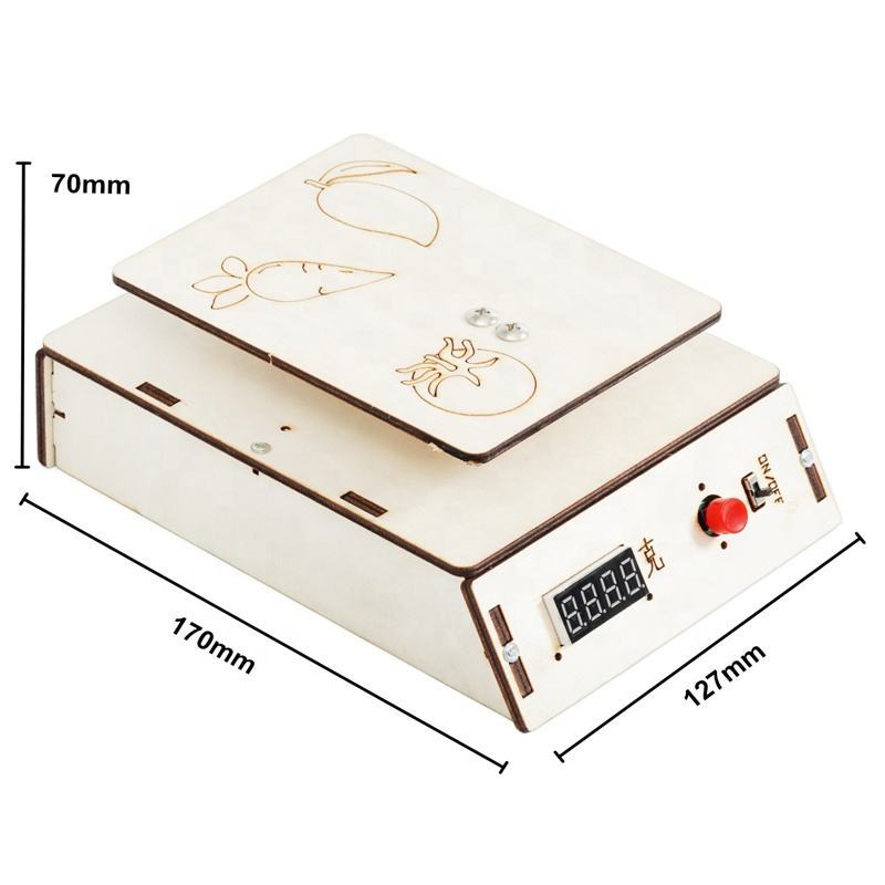 DIY Electronic Scale DIY Puzzle Pack STEM Toy | Science Education Set with Robotic Project | Perfect for Rbt School