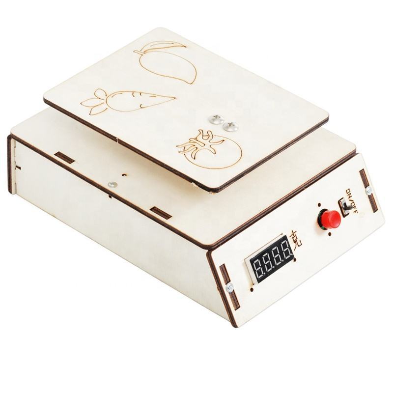 DIY Electronic Scale DIY Puzzle Pack STEM Toy | Science Education Set with Robotic Project | Perfect for Rbt School