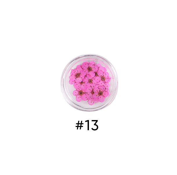 Narcissus Colored Dried Flower