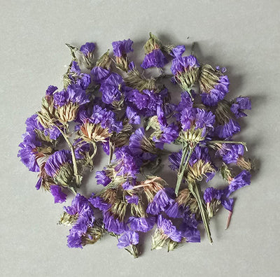 Dried flower variety collection