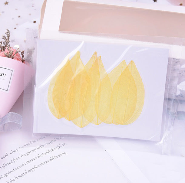 Color Dyed Pressed Dried Leaves