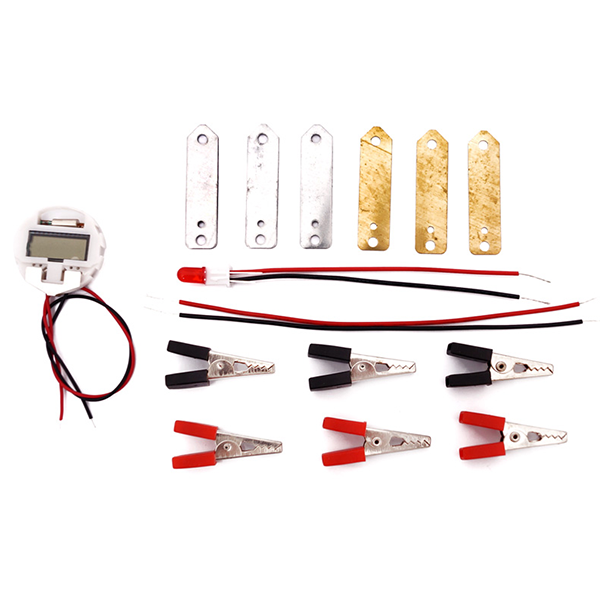 Experiment Fruit Battery DIY Puzzle Pack STEM Toy | Science Education Set with Robotic Project | Rbt School Projects