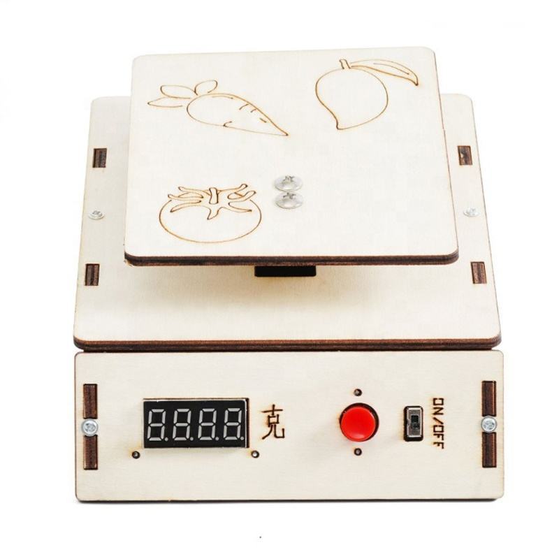 DIY Electronic Scale DIY Puzzle Pack STEM Toy | Science Education Set with Robotic Project | Perfect for Rbt School