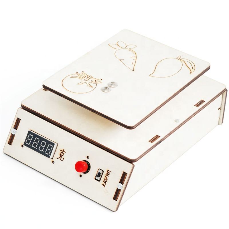 DIY Electronic Scale DIY Puzzle Pack STEM Toy | Science Education Set with Robotic Project | Perfect for Rbt School