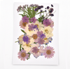 Purple Mixed Pressed Dried Flower