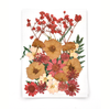 Red Mixed Pressed Dried Flower