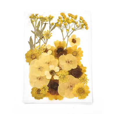 Yellow Mixed Pressed Dried Flower