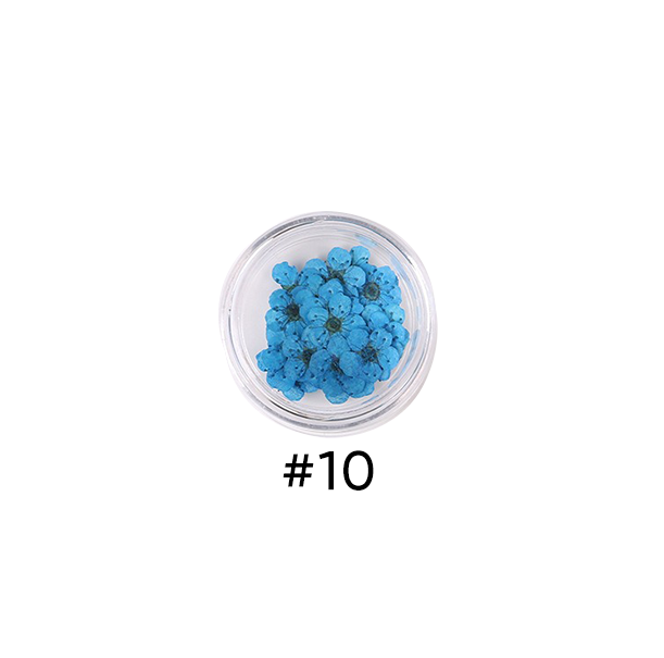 Narcissus Colored Dried Flower