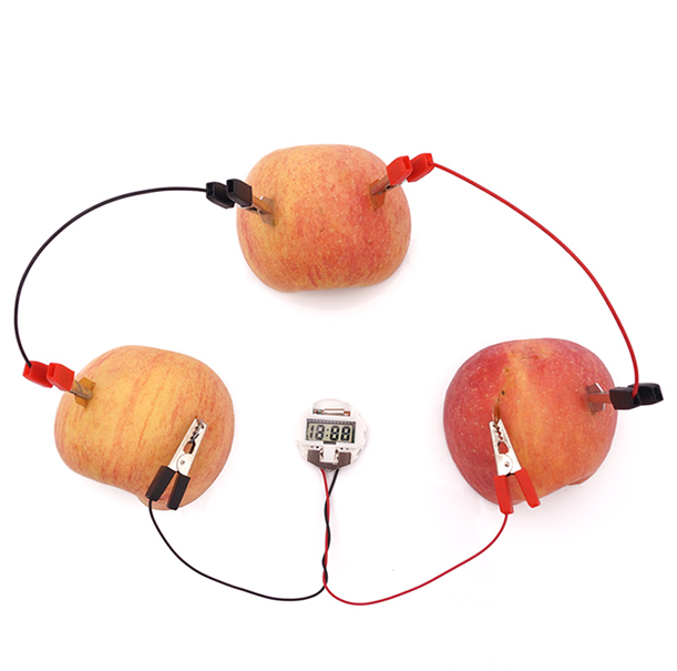 Experiment Fruit Battery DIY Puzzle Pack STEM Toy | Science Education Set with Robotic Project | Rbt School Projects