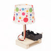 Colorful Desk Lamp DIY Puzzle Pack STEM Toy | Science Education Set with Robotic Project | Rbt School Projects