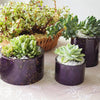 Plant Pots Silicone Molds Succulent Plants Concrete Planter Vase Molds for DIY Gardening Pots Craft Home Decorations