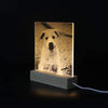 Wooden Led Lamp Base USB Cable Switch Night Lamp