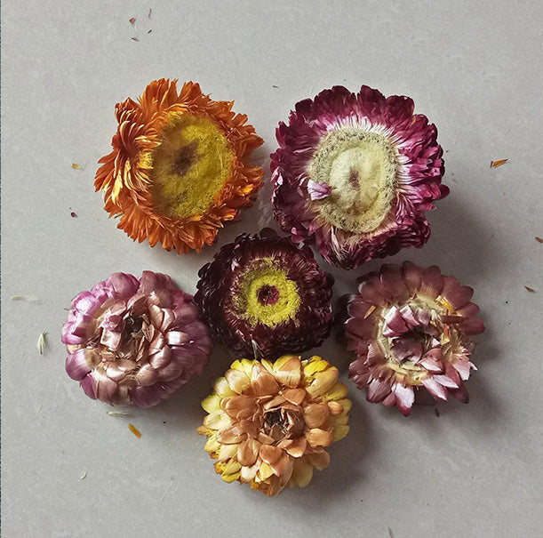 Dried flower variety collection