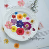 Colorful Mixed Pressed Dried Flower