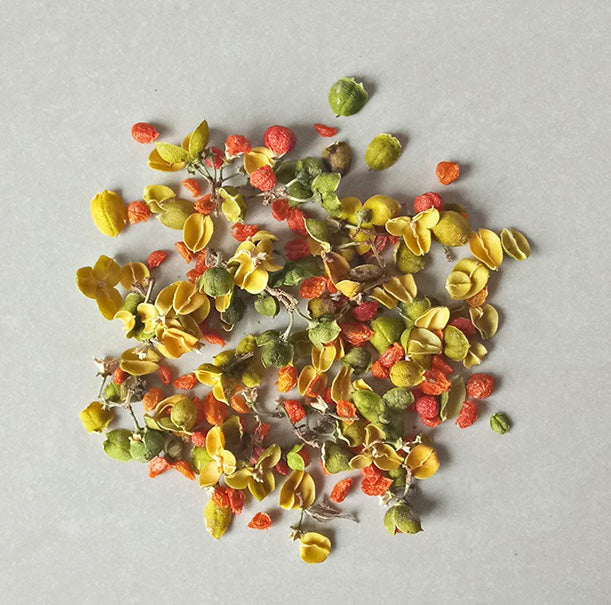 Dried flower variety collection