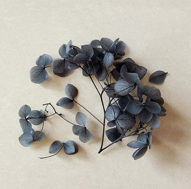 Dried flower variety collection