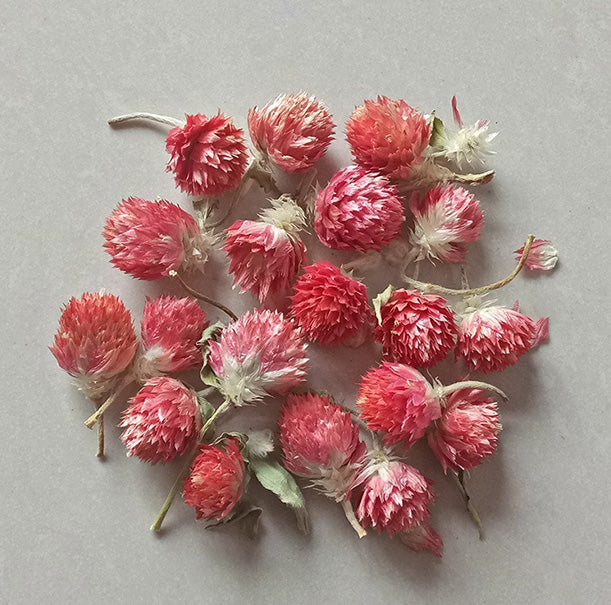 Dried flower variety collection