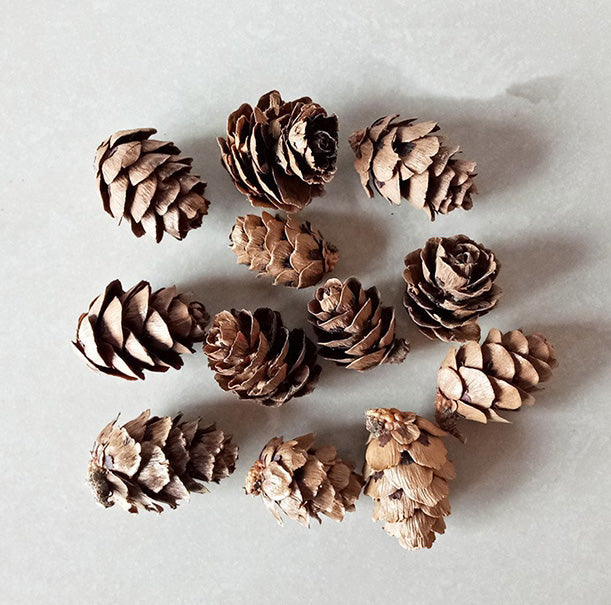 Dried flower variety collection