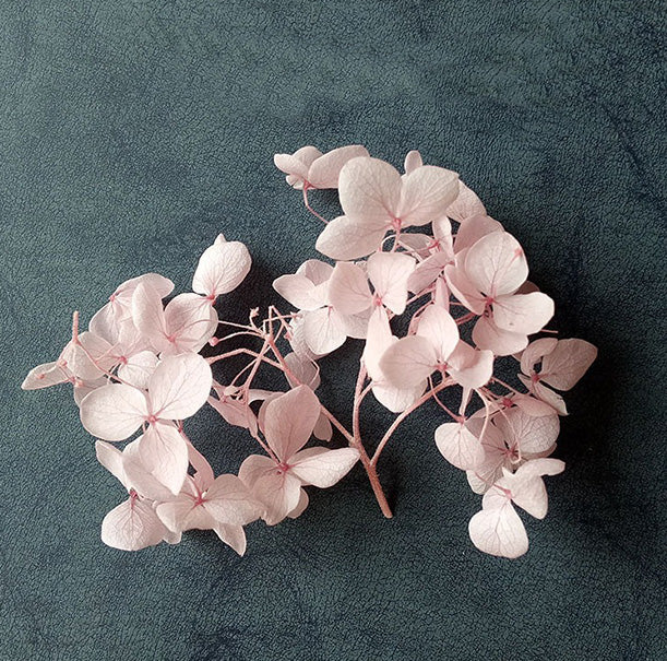 Dried flower variety collection