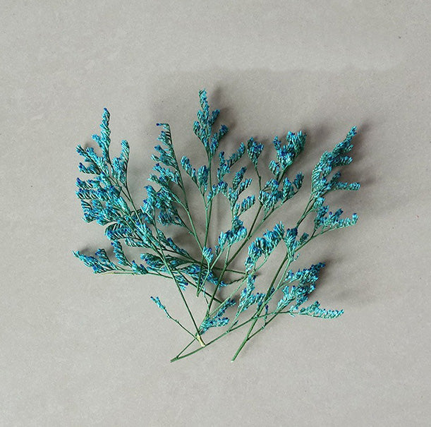 Dried flower variety collection