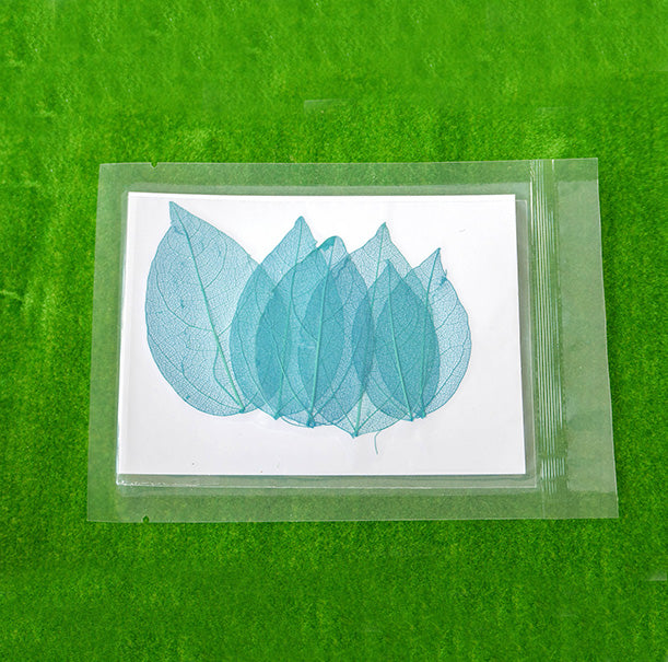 Color Dyed Pressed Dried Leaves