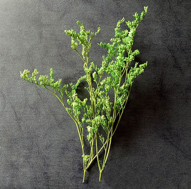 Dried flower variety collection