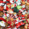 10 x Christmas Theme Assorted Mix Kawaii Decoden Kit Cute Cabochons