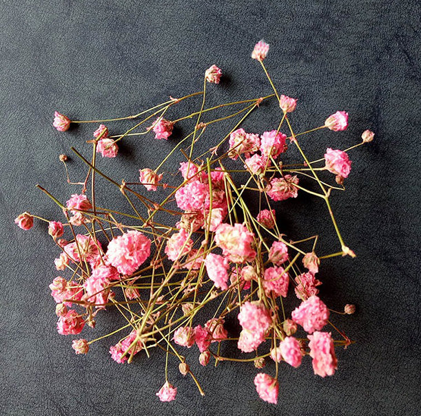 Dried flower variety collection