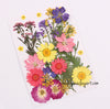 Colorful Mixed Pressed Dried Flower