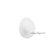 1 x Styrofoam Egg Shape (3cm)