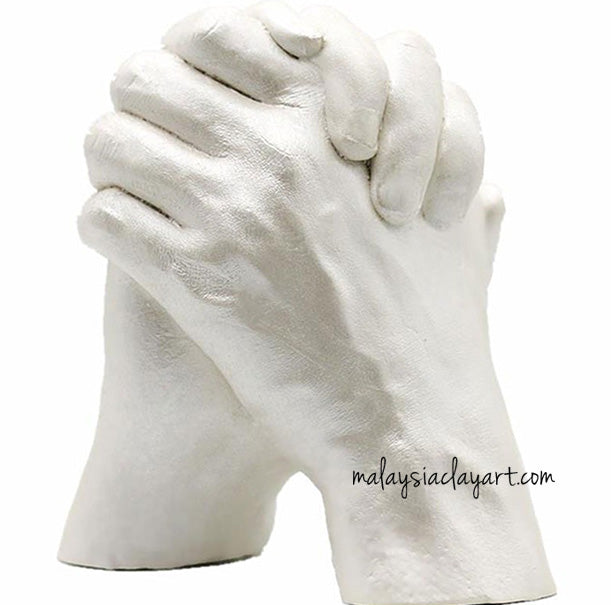 Alginate Life Casting Powder (400g)